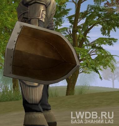   - Small Shield