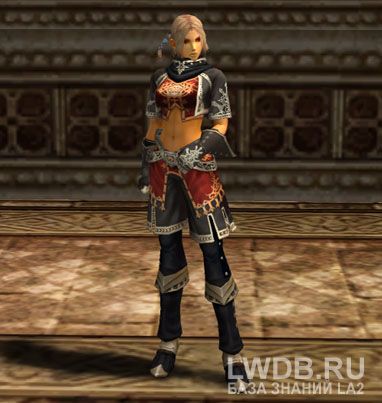    - Zubei's Leather Shirt