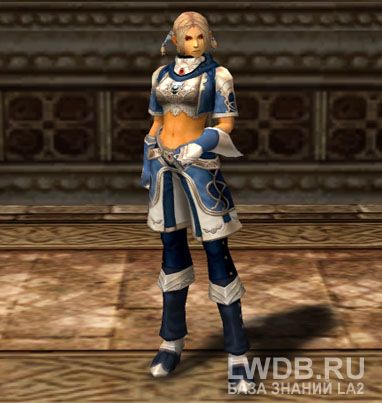    - Blue Wolf Tunic