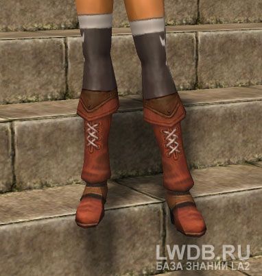     - Salamander Skin Boots