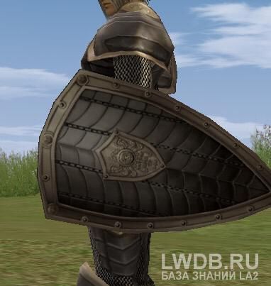   - Chain Shield