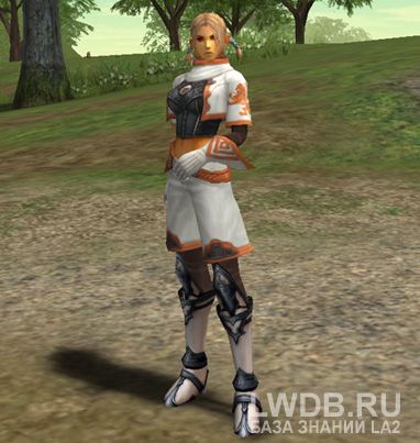   - Divine Tunic
