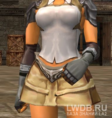  - Bracer
