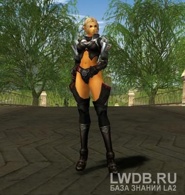    - Sealed Tallum Stockings