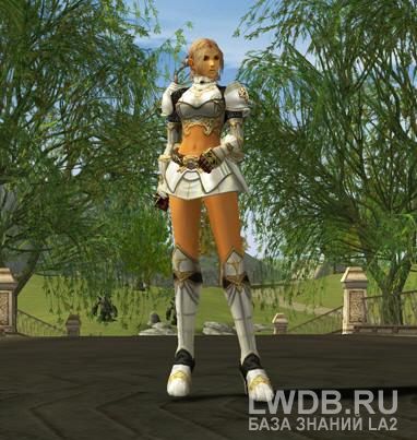     - Sealed Majestic Leather Armor