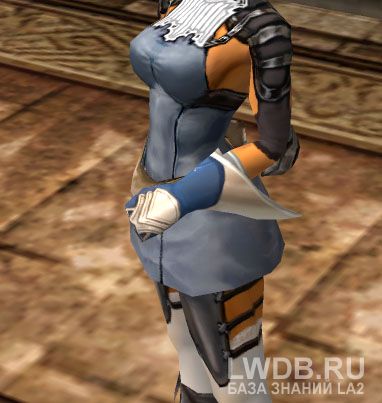    - Blue Wolf Gloves