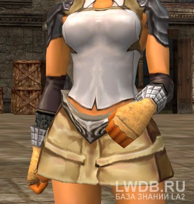   - Leather Gauntlets