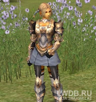    - Imperial Crusader Breastplate