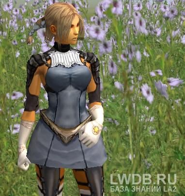   - Major Arcana Gloves
