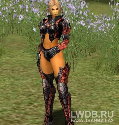      - Sealed Draconic Leather Armor