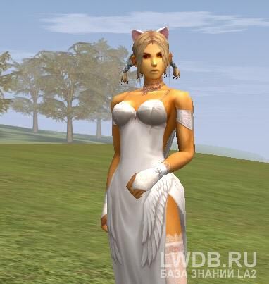 ���� ����� - Cat Ear