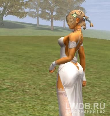 ������� ���� - Lady's Hair Pin