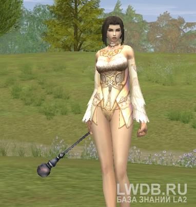 ������� ������ - Wand of Adept