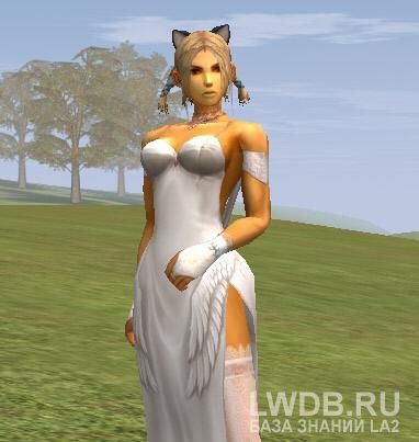 ���� ����� - Raccoon Ears