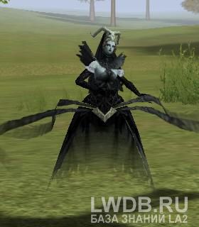   - Shaman of Darkness