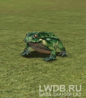   - Caught Frog