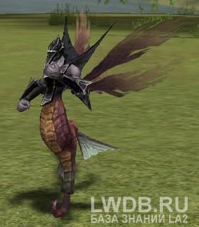     - Caught Sea Horse Soldier