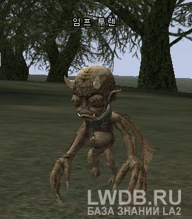   - Imp Elder