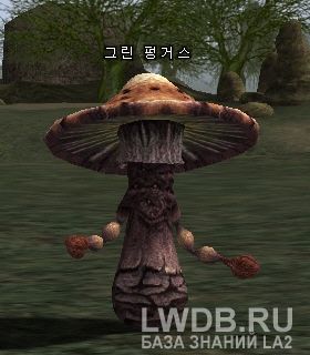   - Green Fungus
