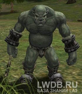   - Vuku Orc