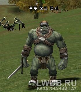   - Vuku Orc Fighter