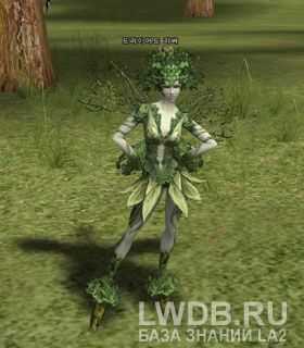   - Dryad Elder