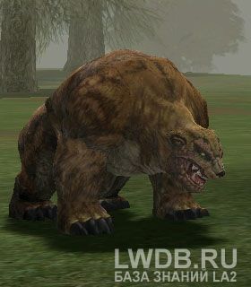   - Red Bear