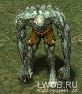   - Ruin Zombie