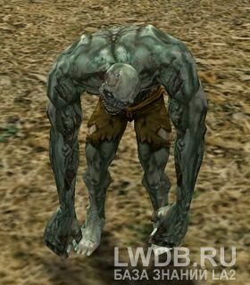    - Ruin Zombie Leader