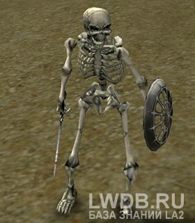   - Tracker Skeleton