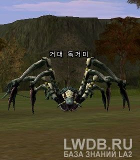   - Venomous Spider