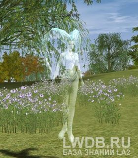   - Lirein Elder