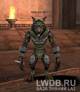    - Sukar Wererat Leader