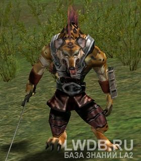   - Ol Mahum Guard