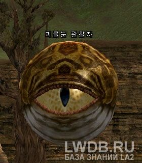  - Monster Eye Watcher