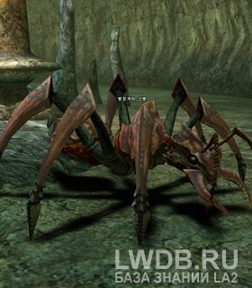   - Ant Recruit