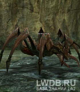   - Ant Patrol