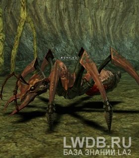    - Ant Warrior Captain