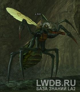   - Noble Ant