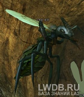    - Noble Ant Leader