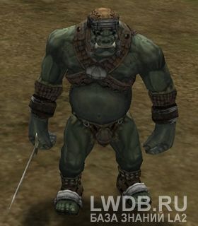   - Orc Fighter