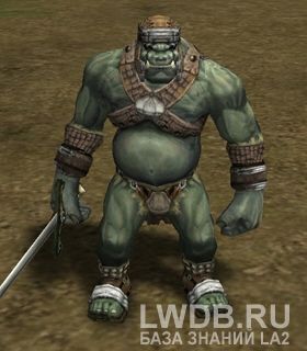    - Orc Fighter Leader