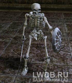  - Skeleton