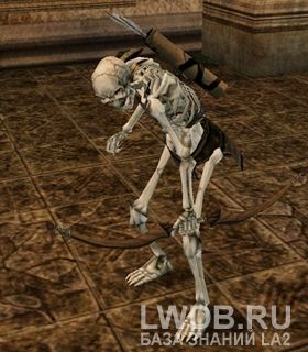   - Skeleton Archer
