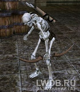   - Skeleton Marksman