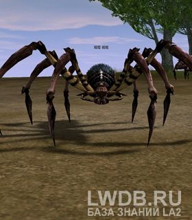   - Giant Spider