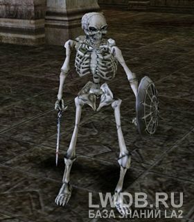   - Skeleton Lord