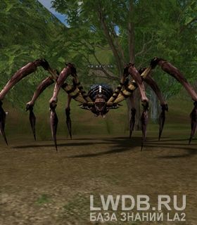   - Talon Spider