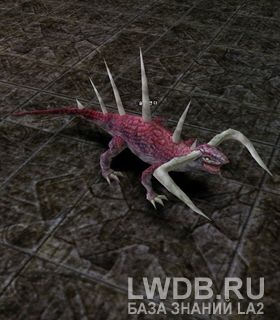  - Salamander