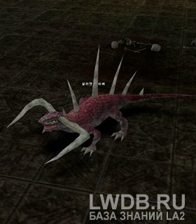   - Salamander Elder
